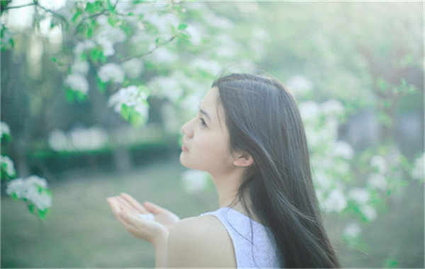 鹿泉验血查男女几周可以验(验血查男女结果图)