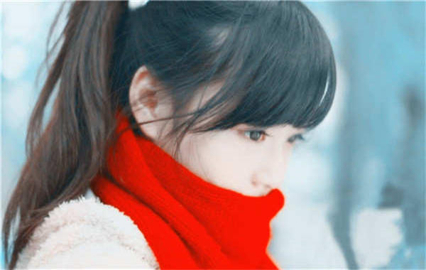 鹿泉胎儿几个月可以性别鉴定(胎儿一般几个月可以鉴定性别)